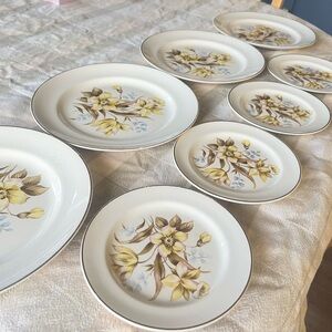 Vintage Camwood Ivory by Universal Cambridge Plates – Set of 8